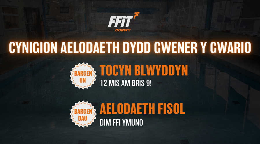 900 x 500 Black Friday welsh