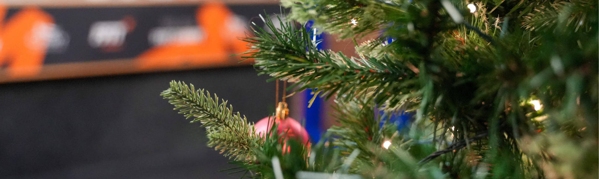 Picture of Christmas Tree