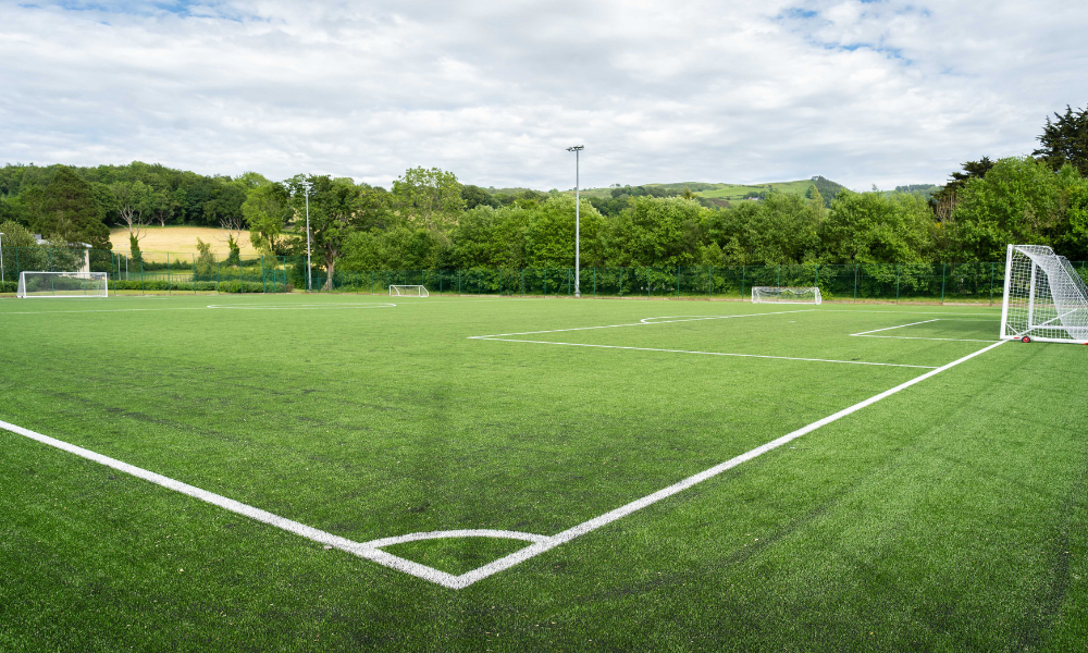 Picture of Dyffryn Conwy 3G Pitch