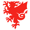 Welsh Football of Association - Link
