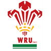 Welsh Rugby Union - Link