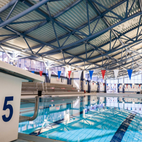 Picture of a diving board at a swimming pool