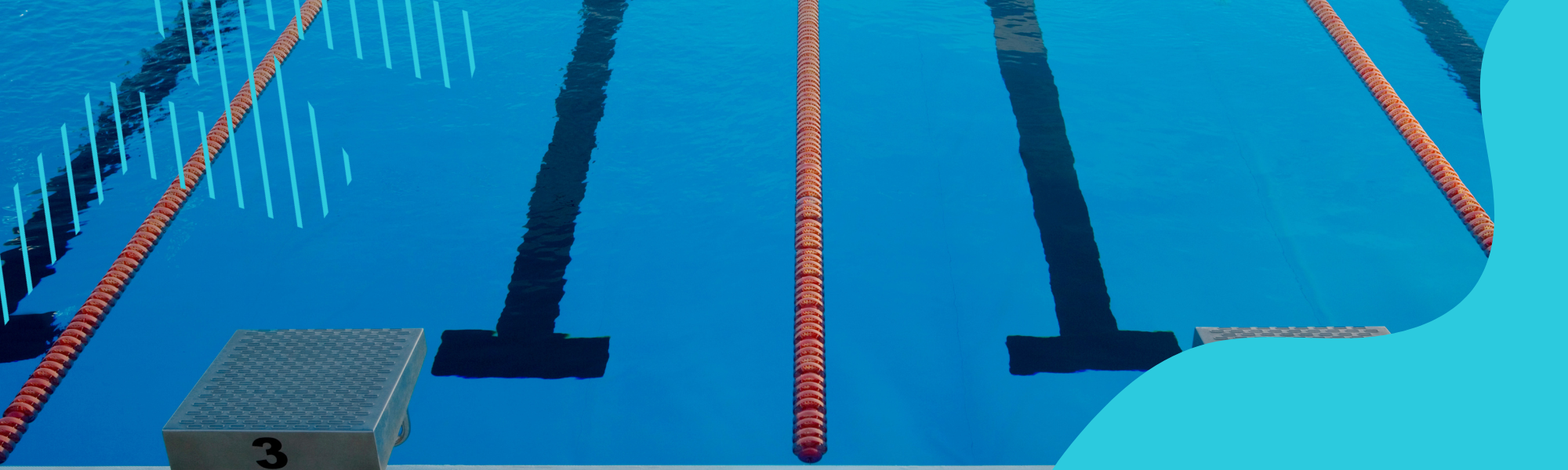 Lanes in a swimming pool