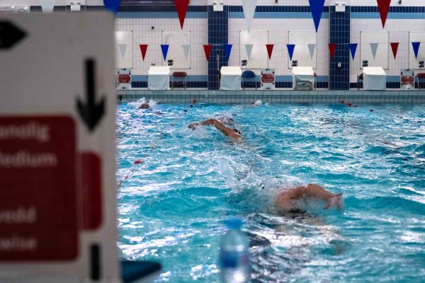 swimmer swimming in lanes